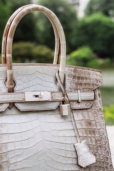 hermes himalayan crocodile birkin with 245 diamonds|hermes himalayan birkin owners.